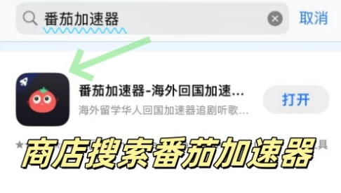 Malus VPN好用吗？和星河VPN对比哪个回国效果更好？教程