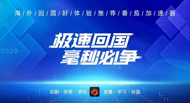 交管12123国外网络拥堵教程